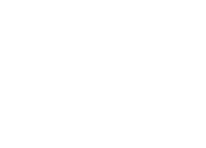 acinquesportcamp_white
